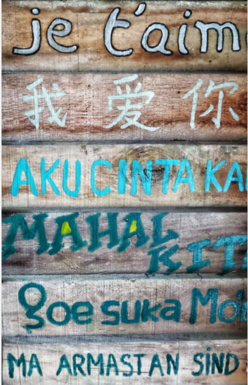 I love you in many languages